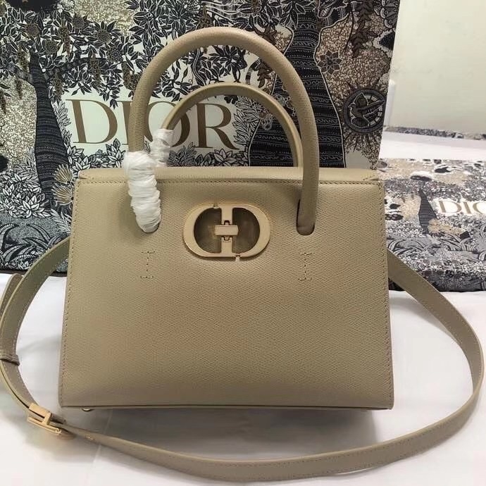Dior Montaigne Bag