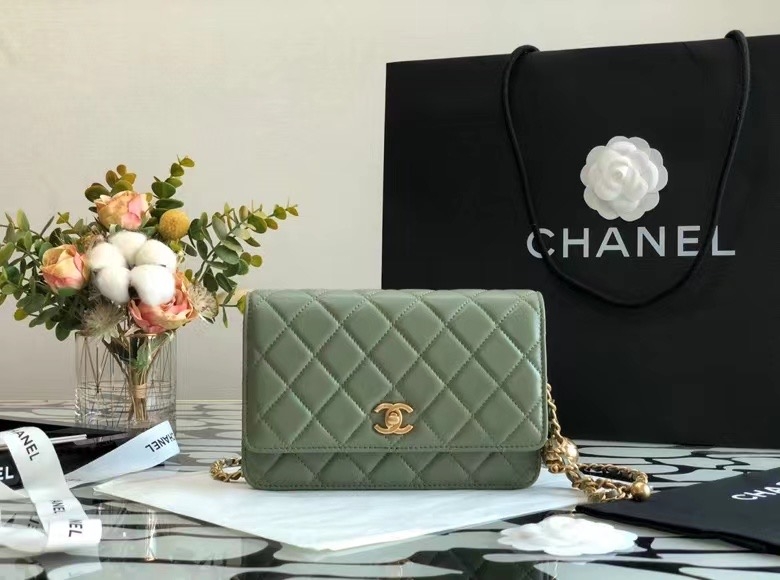 Túi Chanel Wallet On Chain 20/21